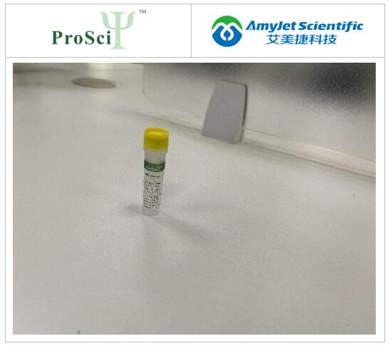 艾美捷ProSci丨ProSci 脂肪皮下糖尿病溶解物说明 艾美捷ProSci丨ProSci 脂肪皮下糖尿病溶解物说明