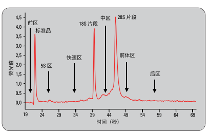 六大问带你看懂 RNA 质控金标准-RNA 完整值 (RIN)
