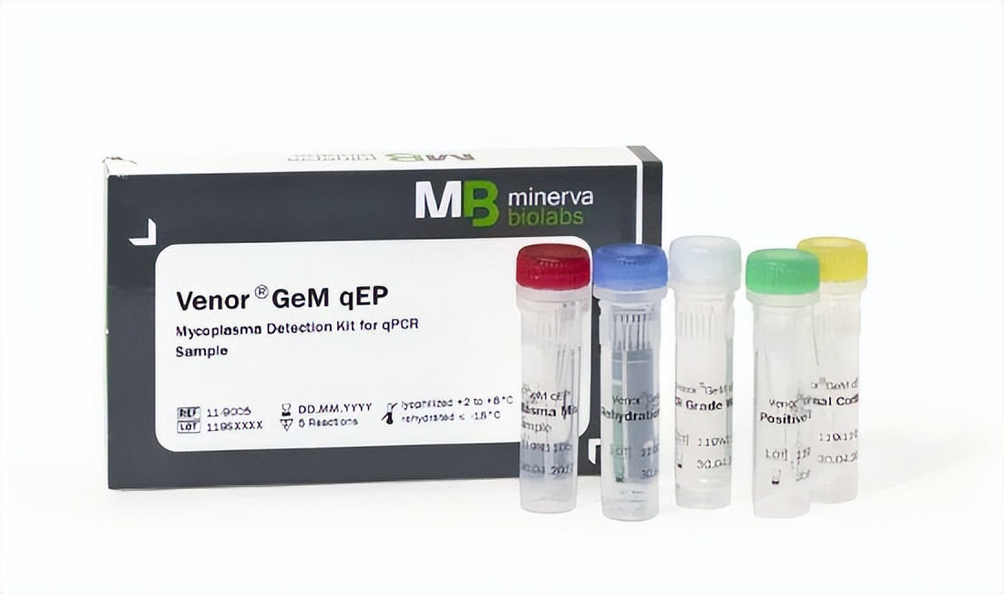 支原体的检测方法之qPCR法