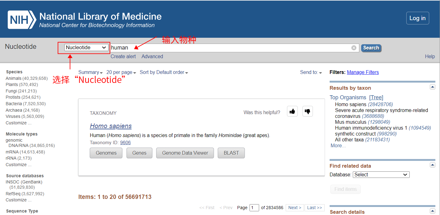 涨知识 | 克隆专题七：分子克隆应用工具