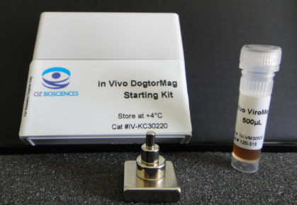 艾美捷 体内ViroMag转染试剂的主要优点和应用