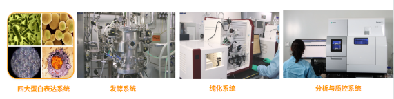翌圣重组蛋白表达技术平台，为您提供Hiacti™高活性重组蛋白产品
