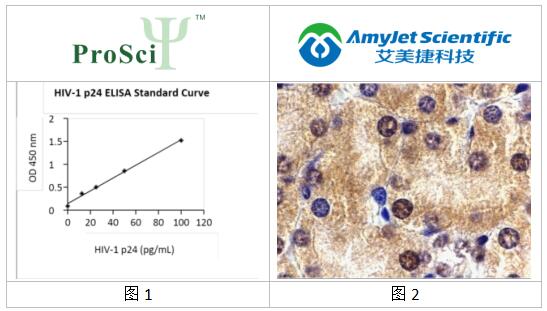 艾美捷ProSci丨ProSci ST2 抗体说明书