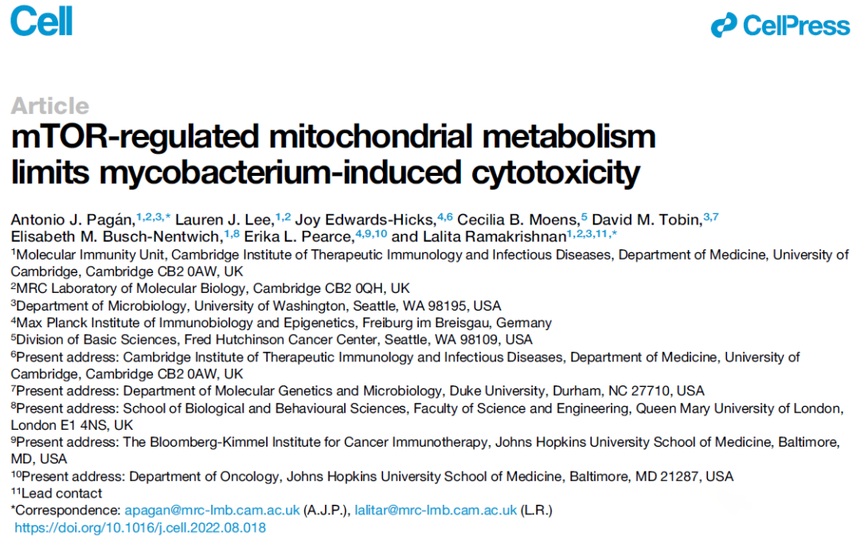【CNS文献速递】Cell揭示mTOR又一项重大功能：mTOR通过调控巨噬细胞-线粒体代谢功能抵抗结核病攻击！