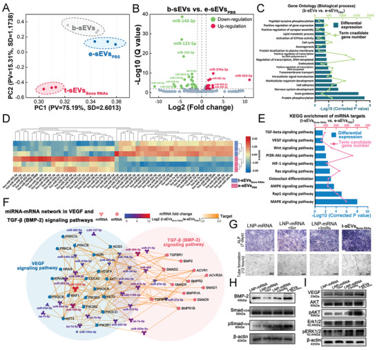 外泌体技术服务 外泌体技术服务