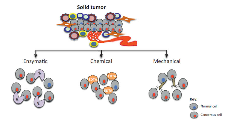 工欲善其事，必先利其器---单细胞悬液质量优化