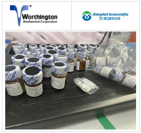 Worthington公司天冬酰胺酶丨L-天冬酰胺浓度测定应用