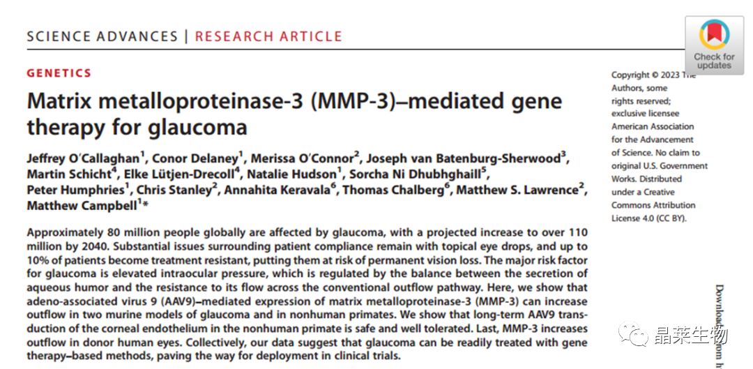 国自然热点“转录调控”文献解读之 基质金属蛋白酶-3 （MMP-3） 介导的青光眼基因治疗