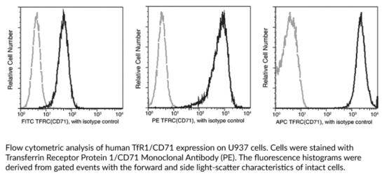 艾美捷Cayman Chemical转移蛋白受体蛋白1/CD71单克隆抗体   