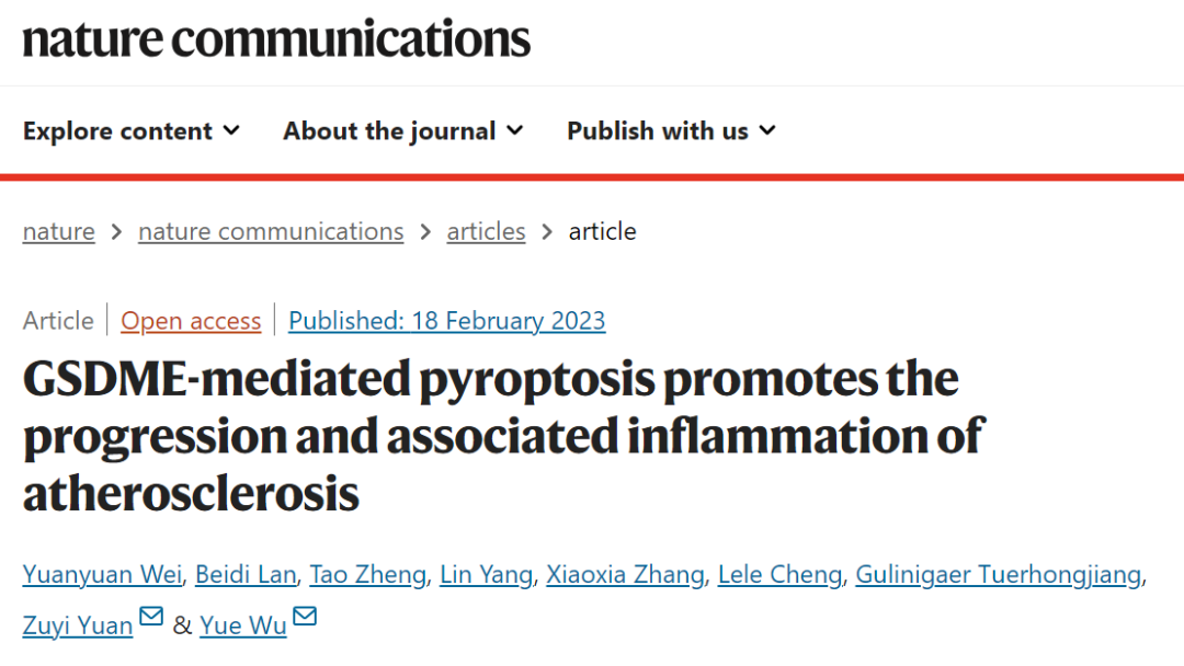Nat Commun | 南模生物助力GSDME介导的细胞焦亡促进动脉粥样硬化的进展及其相关炎症研究