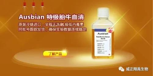 选购胎牛血清要点解析