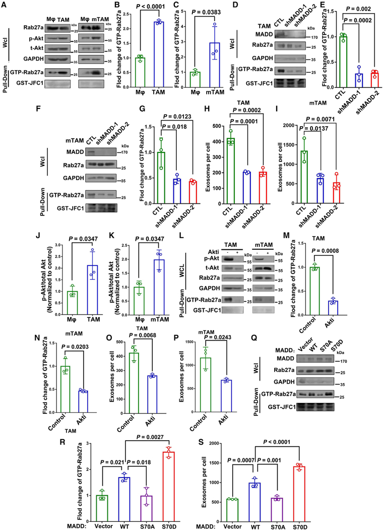 外泌体技术服务