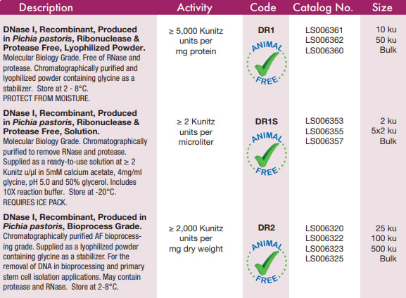 Worthington重组DNase I丨Worthington脱氧核糖核酸酶I