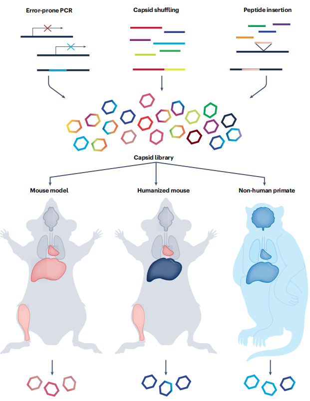 1695872074872996.png 2.png