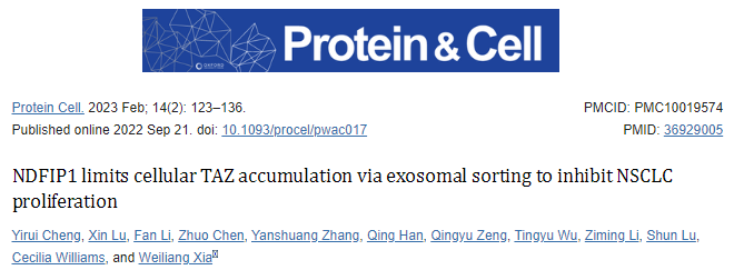 【Protein Cell】21.1，NDFIP1通过外泌体分选限制细胞TAZ积累以抑制NSCLC增殖