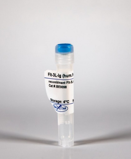 BioXcell特色产品推荐之：InVivoMAb recombinant Flt-3L-Ig重组融合蛋白