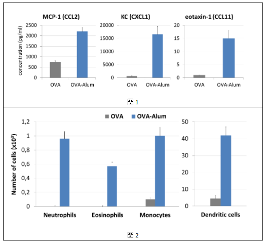 中英文说明丨艾美捷OZ Biosciences氢氧化铝疫苗佐剂 中英文说明丨艾美捷OZ Biosciences氢氧化铝疫苗佐剂