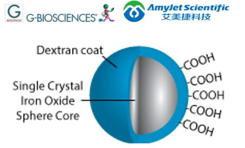 磁珠纯化技术研究丨G-Biosciences 羧基磁珠方案 磁珠纯化技术研究丨G-Biosciences 羧基磁珠方案