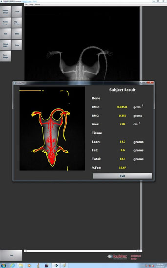 动物体成分分析仪预约免费试用
