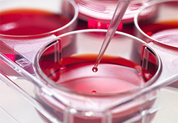 细胞培养基的理化性质