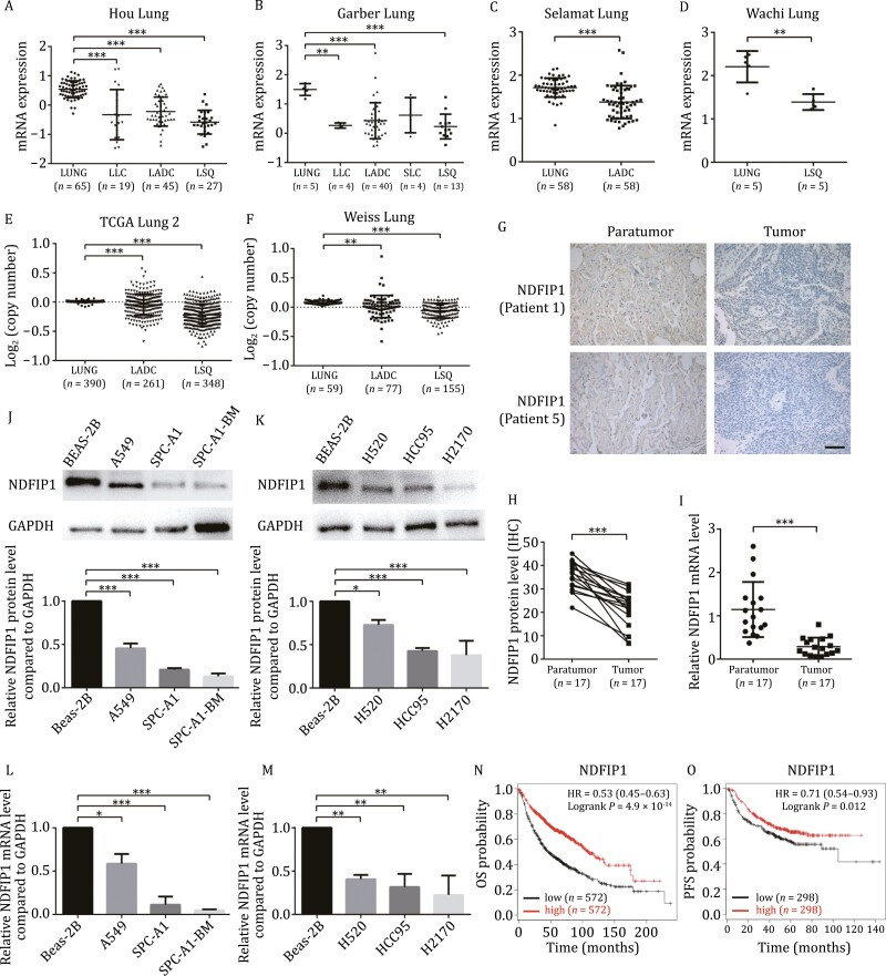 外泌体技术服务