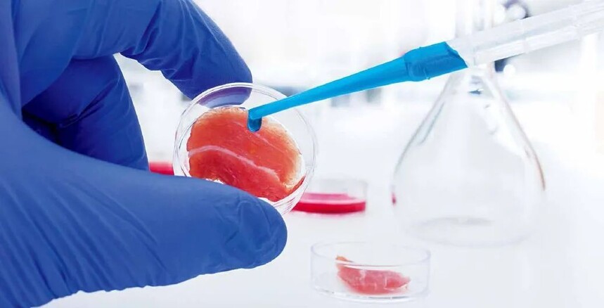 干货分享 | 精于细微之处，成于细节之中，移液器使用小妙招，收藏！