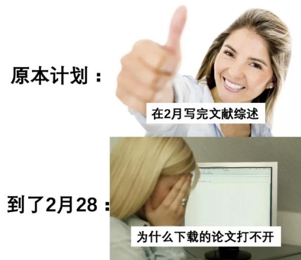 下单小鼠资源库KO/CKO品系，获赠高达800元礼品卡