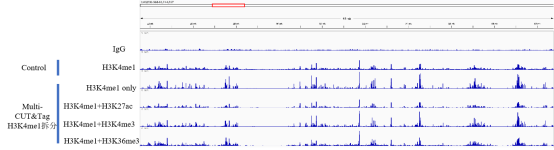 Nanobody-Tn5，赋予CUT&Tag不一样的体验