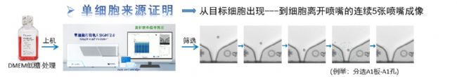 F.SIGHT 2.0提高MSC间充质干细胞的单克隆率，助力MSC干细胞治疗产业化发展