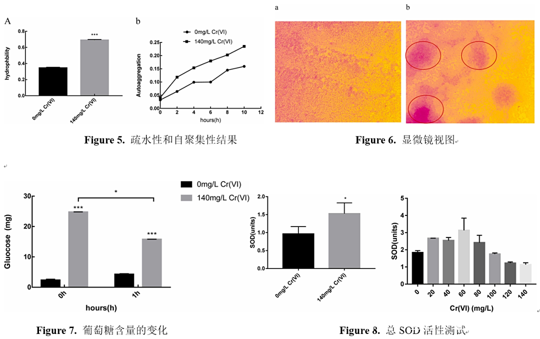 总SOD活性测定实验