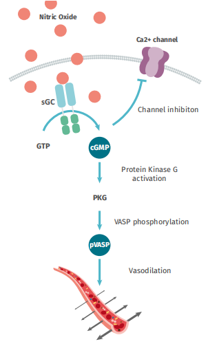 看！心血管疾病研究--HTRF技术怎么做？
