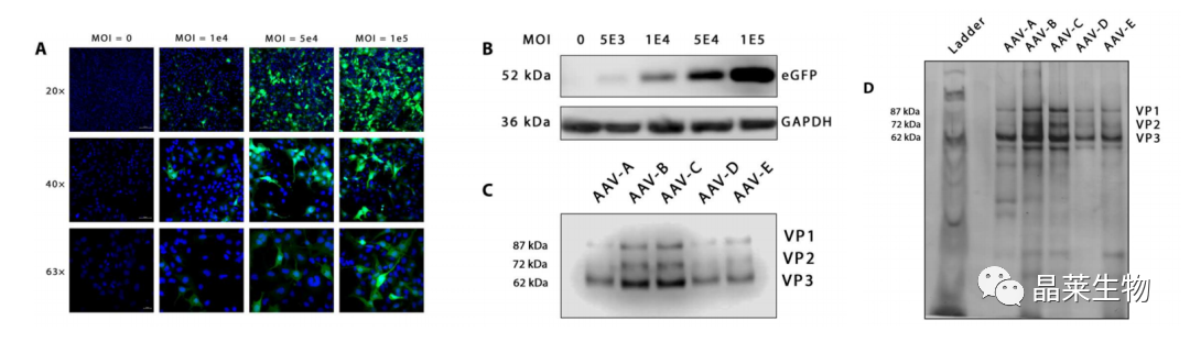 1698647003296346.png 新闻图片8