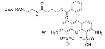中英文说明丨艾美捷ATTO488-葡聚糖 中英文说明丨艾美捷ATTO488-葡聚糖
