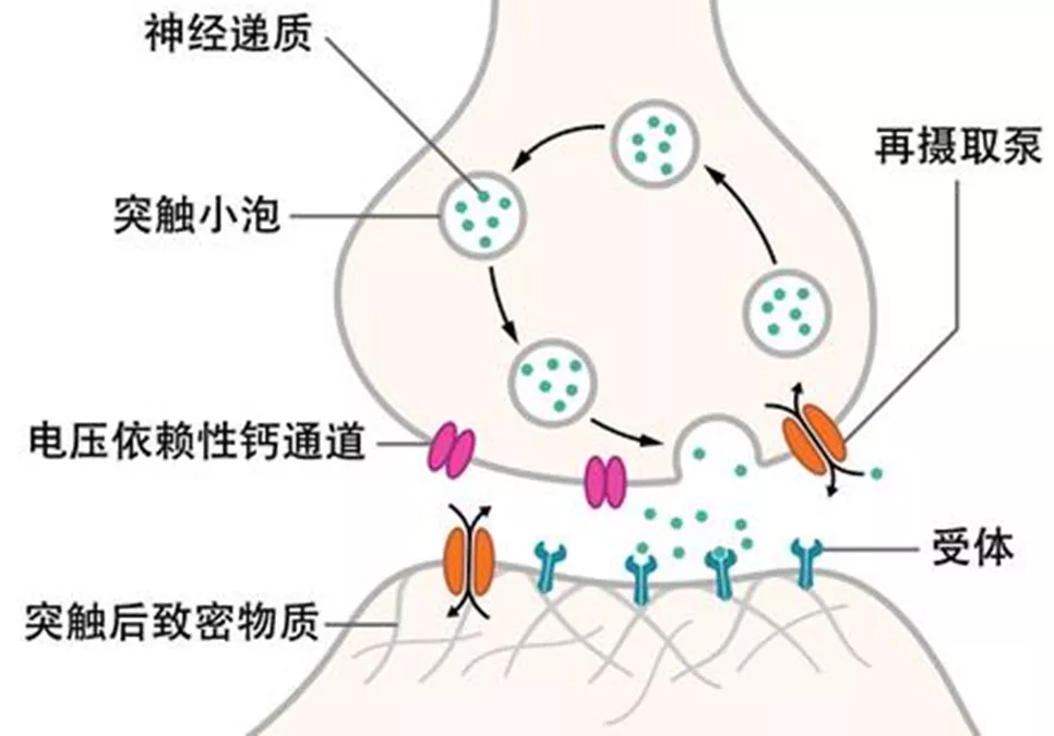 新闻图片2
