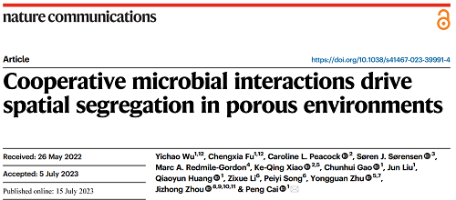 无掩膜直写光刻系统，助力Nat. Commun.！揭示土壤孔隙环境中生物膜群落组装新机制