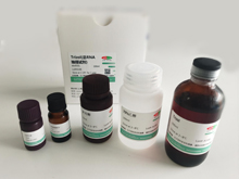 absin核酸合成与提取系列产品之RNA提取