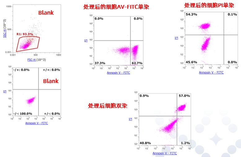 流式技术丨凋亡阳性质控液，补偿调节的好帮手