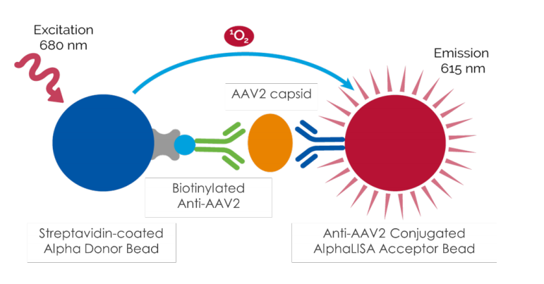 新品上市！AlphaLISA®腺相关病毒（AAV）定量检测试剂盒