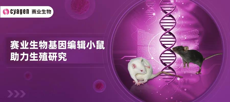 赛业生物基因编辑小鼠助力生殖研究|客户文献集锦