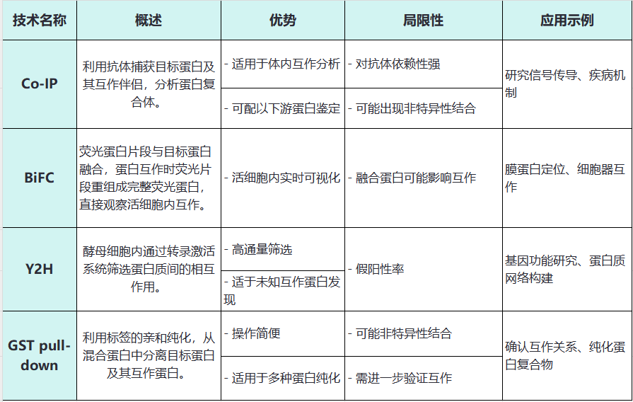 蛋白也社交！四大研究利器(Co-IP、BIFC、Y2H、GST pull-down)助力速配蛋白互作“最佳拍档”