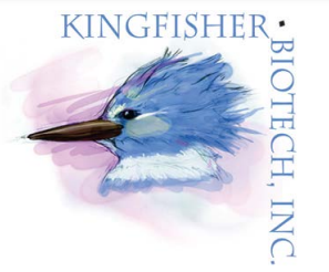 牛粒细胞-巨噬细胞集落刺激因子/Bovine GM-CSF重组蛋白中英文说明书