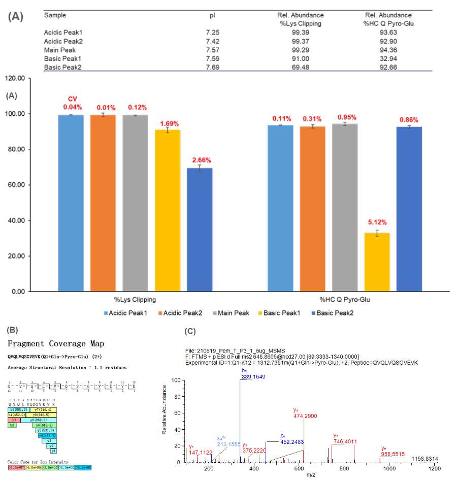 基于尖端的全柱成像等电毛细管电泳