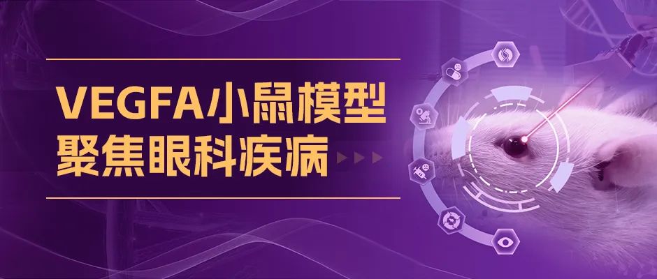 Nature子刊都在追的眼科热点——VEGFA，放在小鼠身上怎么用？