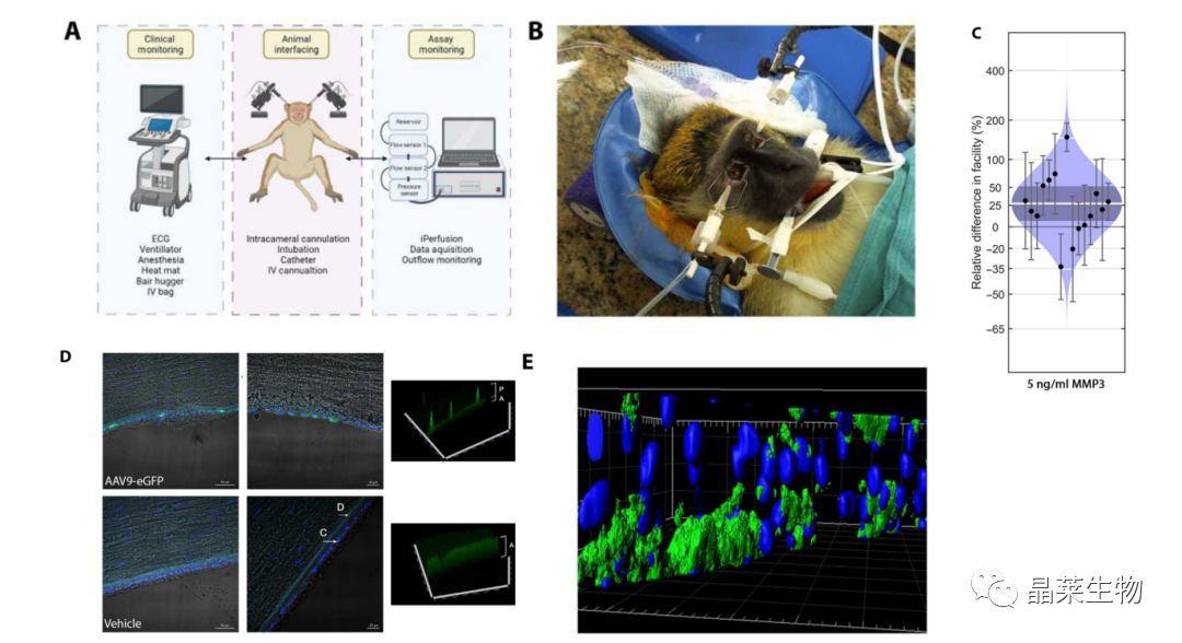 1698647041455530.png 新闻图片12