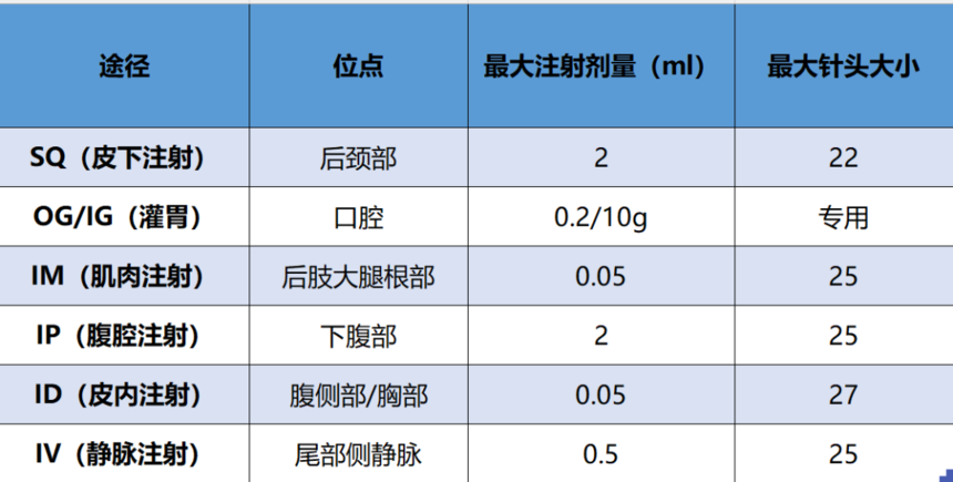 干货分享 | 小鼠不同注射位置的最大注射剂量