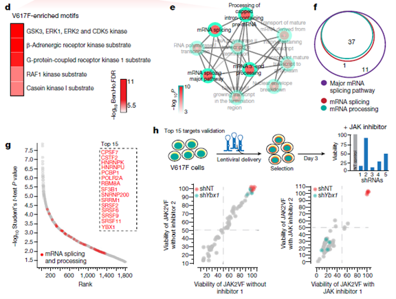 quan球组学大咖2020新进展, Orbitrap助力ding级研究