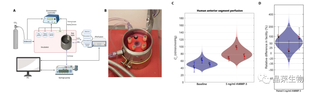 1698647055577901.png 新闻图片14