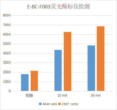 Elabscience铁死亡检测新品 | 脂质过氧化物（LPO）荧光法试剂盒