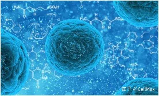 行业资讯——解读近年胚胎干细胞研究领域成果！