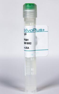 艾美捷PD-1抗体丨InVivoPlus 多克隆亚美尼亚仓鼠 IgG